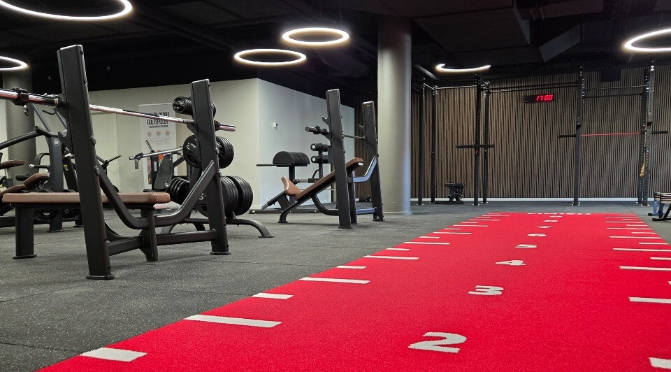 image column 1 widget_31280612635