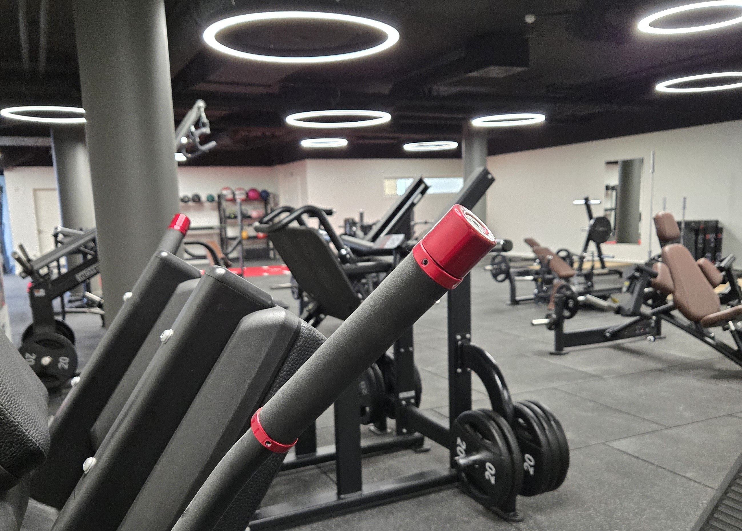 image column 2 widget_31280612635